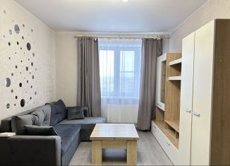 Сдается 1-ком. квартира, 42 м2, Тула, Новомосковская улица, 12