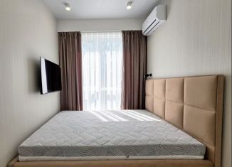 Аренда 2-ком. квартиры, 35 м2, Сочи, Молодогвардейская улица, 2/49, микрорайон Соболевка