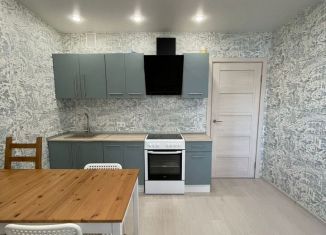 Сдам в аренду двухкомнатную квартиру, 50.5 м2, Мурино, проспект Авиаторов Балтики, 21