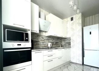 Сдам 1-ком. квартиру, 45 м2, Нижний Новгород, улица Маршала Баграмяна, 1, ЖК Маршал Град