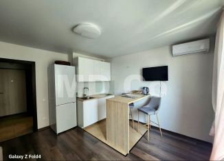 Сдам квартиру студию, 25 м2, Люберцы, Инициативная улица, 7В, ЖК Облака