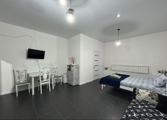 Сдам дом, 30 м2, Грозный, улица Мовлида Алероевича Висаитова, 100