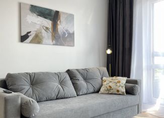 Сдам в аренду 1-ком. квартиру, 42 м2, деревня Новое Девяткино, Главная улица, 8, ЖК Заречный Парк