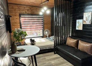 Сдается в аренду дом, 18 м2, деревня Заозерье (Усть-Качкинское сельское поселение), Шиловский переулок, 10