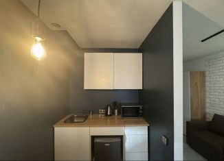 Квартира в аренду студия, 23 м2, Екатеринбург, ЖК Тихий Берег-2, Рощинская улица, 37А