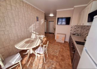 Сдам 1-ком. квартиру, 40 м2, Сочи, улица Гастелло, 27Б, микрорайон Голубые Дали