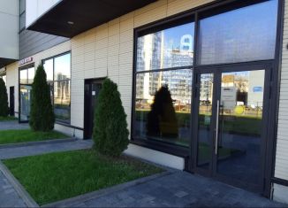 Продам помещение свободного назначения, 82.4 м2, Санкт-Петербург, Заневский проспект, 65, муниципальный округ Малая Охта