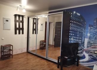 Сдается в аренду квартира студия, 28 м2, поселок Верхнетемерницкий, Обсерваторная улица, 104/2