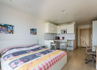 Сдается в аренду квартира студия, 27 м2, Санкт-Петербург, Социалистическая улица, 21, муниципальный округ Владимирский