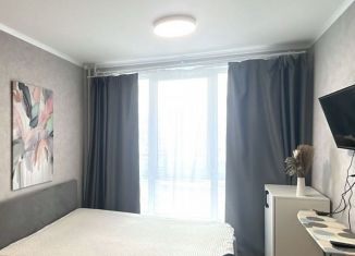 Сдаю квартиру студию, 25 м2, посёлок Парголово, Толубеевский проезд, 8к2