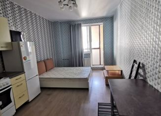 Квартира в аренду студия, 24.6 м2, Мурино, Охтинская аллея, ЖК Мой Город