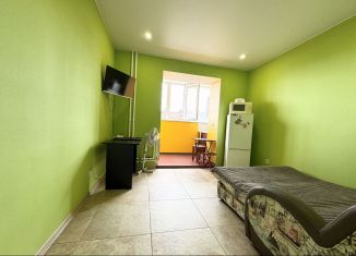 Квартира в аренду студия, 20 м2, Тюмень, Верхнетарманская улица, 5, ЖК Новый Мыс 2.0