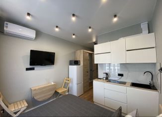 Аренда квартиры студии, 18 м2, Сочи, Ясногорская улица, 16/2, микрорайон Бытха