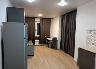 Сдаю в аренду квартиру студию, 25 м2, Котельники, микрорайон Парковый, 14, ЖК Белая Дача Парк