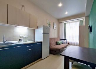 Сдаю квартиру студию, 25 м2, Сочи, Санаторная улица, 50БлитБ, микрорайон Новый Сочи