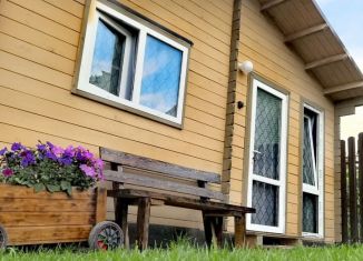 Сдача в аренду дома, 31 м2, село Мысхако, Пограничная улица