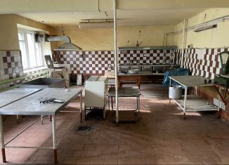 Продается помещение свободного назначения, 120 м2, посёлок Балезино, улица Короленко, 26