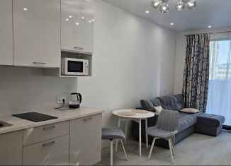 Аренда квартиры студии, 22 м2, Москва, Волгоградский проспект, 32/5к3, ЮВАО