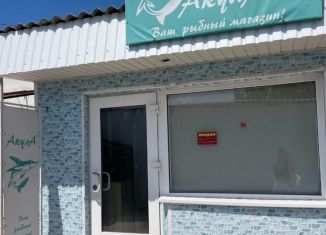 Продаю торговую площадь, 44 м2, посёлок городского типа Черноморское, улица Димитрова, 5Б