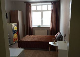 Аренда квартиры студии, 17 м2, Котельники, Кузьминская улица, 5к1