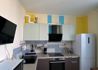 1-комнатная квартира в аренду, 30.7 м2, Мурино, Графская улица, 12к1, ЖК Гринландия-2