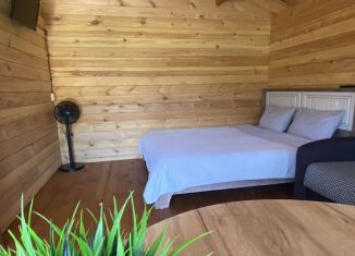 Сдаю дом, 24 м2, Чепошское сельское поселение, Чемальский тракт, 11-й километр