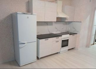 Сдаю в аренду квартиру студию, 24 м2, Тюмень, Интернациональная улица, 199к7, ЖК Авиатор