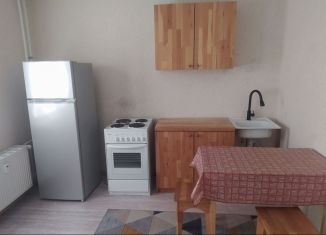 Сдам в аренду 1-ком. квартиру, 28 м2, Ростов-на-Дону, переулок Андреева, 17А, ЖК Суворовский