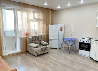 Квартира в аренду студия, 24 м2, Тобольск, ЖК Семь Ключей, 7-й микрорайон, 45