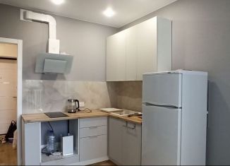 Сдаю в аренду 1-комнатную квартиру, 35 м2, Пермь, Малая улица, 6