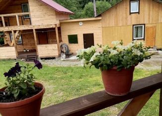 Сдача в аренду дома, 40 м2, село Артыбаш