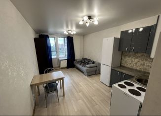 Аренда квартиры студии, 25 м2, Мурино, проспект Авиаторов Балтики, 3, ЖК Мой Город