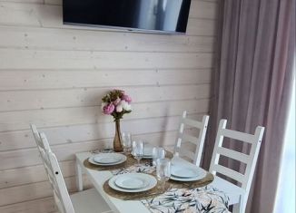 Аренда дома, 42 м2, поселок городского типа Николаевка, Колхозная улица, 20