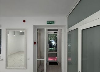 Продажа помещения свободного назначения, 35 м2, Ставрополь, улица Тухачевского, 19/2, микрорайон № 36