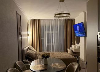 Сдам в аренду квартиру студию, 24 м2, Мурино, улица Шоссе в Лаврики, 67, ЖК Муринское-1