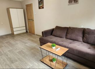 Сдается 1-ком. квартира, 35 м2, Санкт-Петербург, Витебский проспект, 31к3