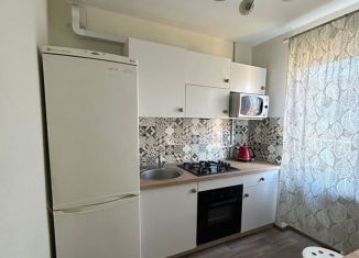 1-комнатная квартира в аренду, 33 м2, Краснодар, улица Димитрова, 127, микрорайон Черемушки