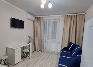 Сдается квартира студия, 22 м2, Краснодар, Восточно-Кругликовская улица, 42/3к2, микрорайон Панорама