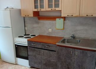 Однокомнатная квартира в аренду, 45.6 м2, Тюмень, улица Пермякова, 68к2, ЖК Домостроитель