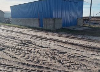 Продажа производства, 3200 м2, Ростовская область, Центральная улица, 83