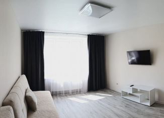 Сдам в аренду 1-ком. квартиру, 41 м2, Чебоксары, улица Поэта Георгия Андреевича Ефимова, 4