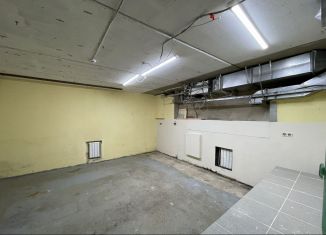 Сдаю производство, 27 м2, Нижний Новгород, посёлок Черепичный, 14В