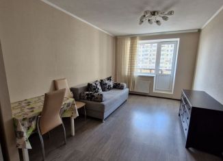 Сдаю квартиру студию, 25 м2, Санкт-Петербург, проспект Металлистов, 117