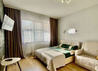 1-комнатная квартира в аренду, 30 м2, Великий Новгород, улица Космонавтов, 36