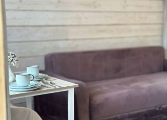 Сдается дом, 30 м2, поселок Аршан, улица Пушкина, 82