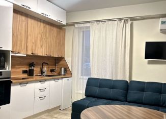 Сдам в аренду квартиру студию, 33 м2, Сочи, Полтавская улица, 54, микрорайон Мамайка