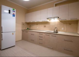 Сдается 1-комнатная квартира, 45 м2, Ленинградская область, улица Блинникова, 6