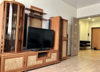 Сдаю однокомнатную квартиру, 45 м2, Московская область, улица Ленина, 21