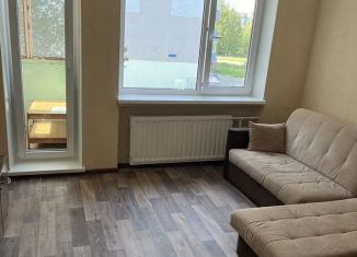 Двухкомнатная квартира в аренду, 50 м2, деревня Новое Девяткино, улица Ветеранов, 16