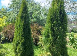 Продаю земельный участок, 6.8 сот., деревня Рекшино, 22Р-0159